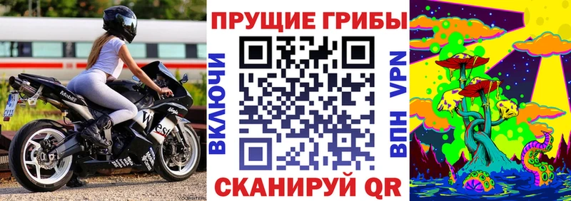 Галлюциногенные грибы GOLDEN TEACHER  Купить закладки  Пятигорск 