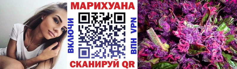 Каннабис SATIVA & INDICA  Купить где  Пятигорск 